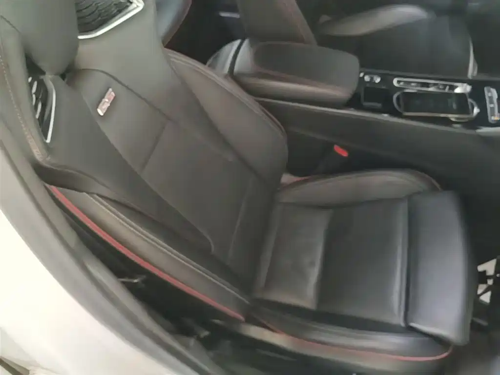 Buick Regal 2020 GS 28T Elite фото 25
