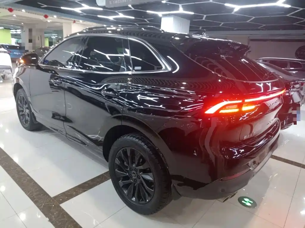 Dongfeng Fengxing Fengxing T5 EVO 2023 2021 1.5TD DCT Diamond Edition