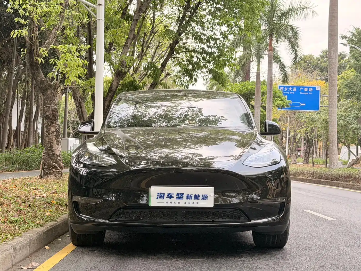 TESLA MODEL Y