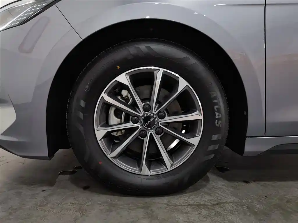 BYD Destroyer 05 2024 Glory Edition DM-i 55KM Luxury фото 17