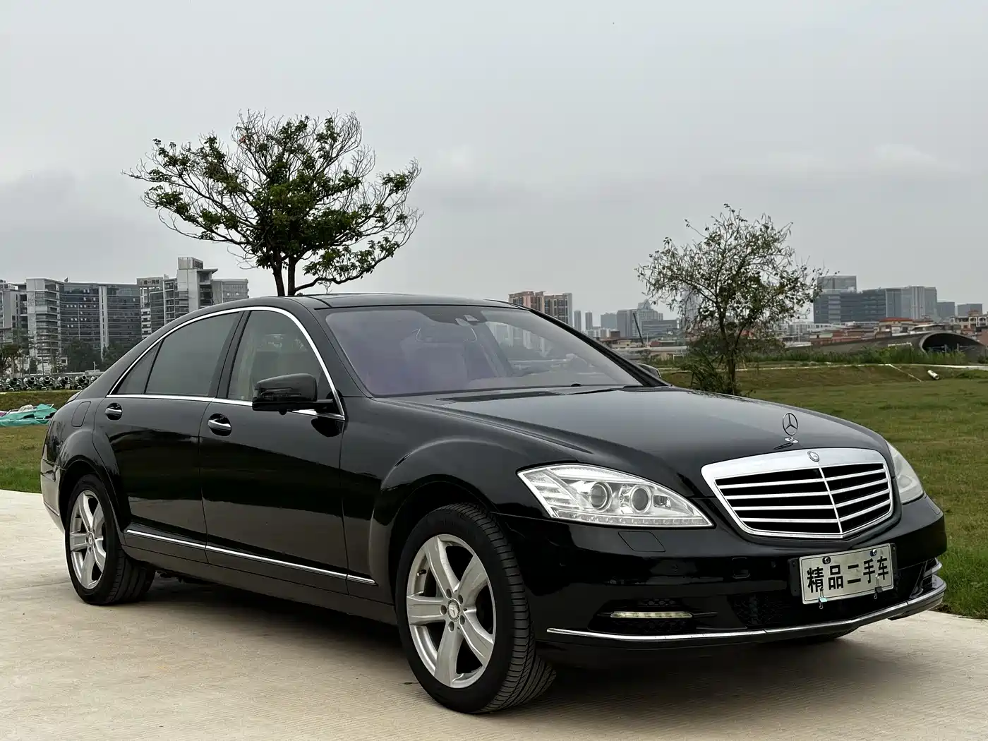 Mercedes-Benz S-Class 2010 S 350 L Luxury фото 3