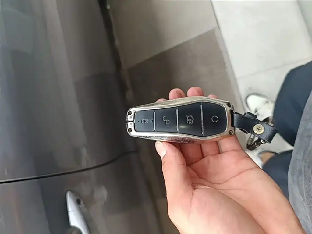 BYD Qin PLUS 2023 Champion Edition DM-i 55KM Leading фото 9