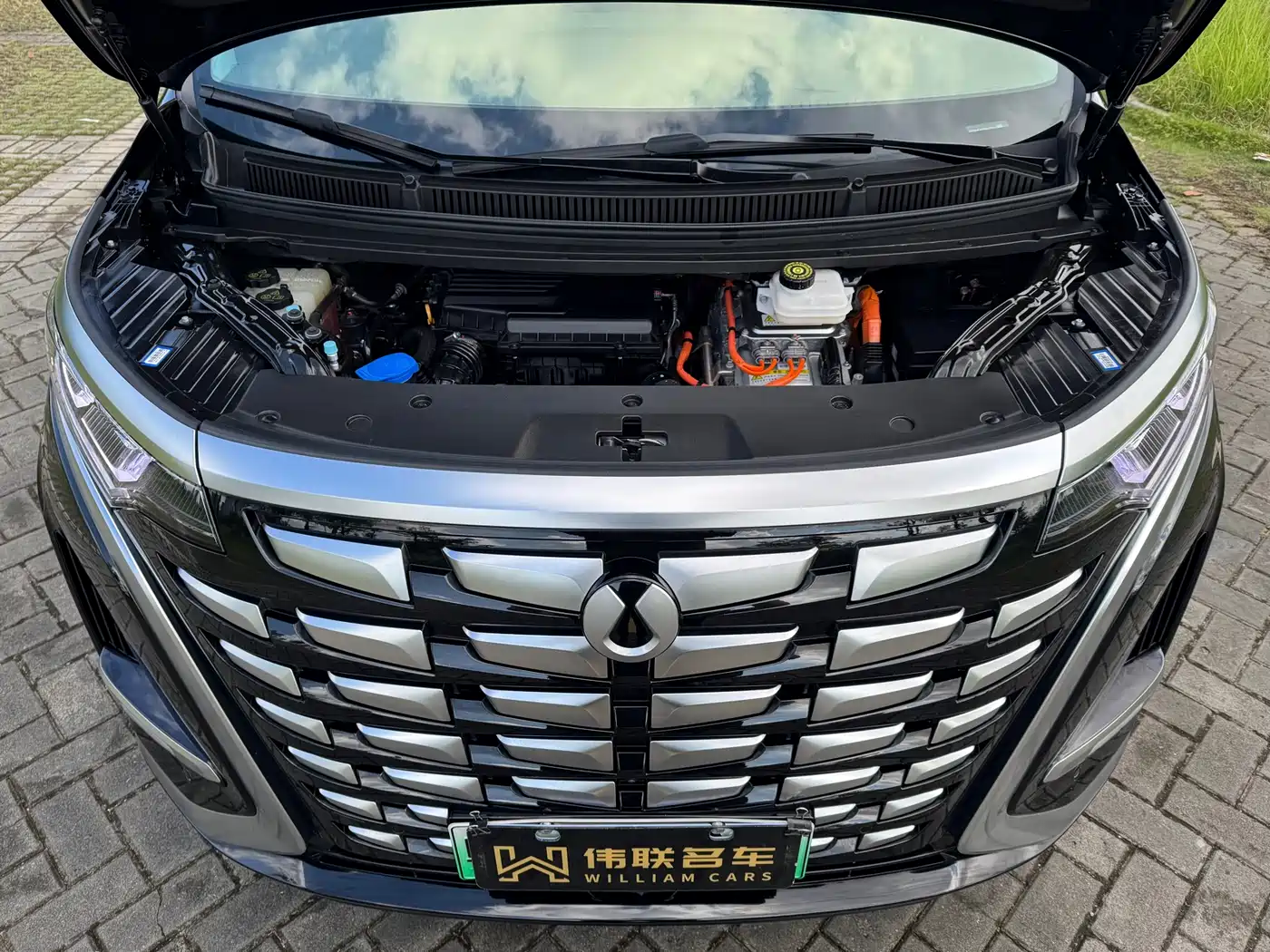 Denza D9 2022 DM-i 970 All-Wheel Drive Honor Edition фото 23