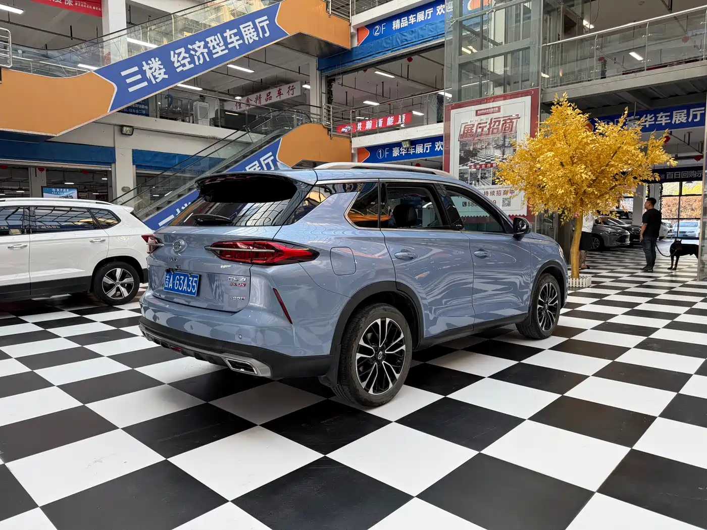GAC Trumpchi Trumpchi GS4 PLUS 2022 270T Automatic Starry Sky Edition фото 6