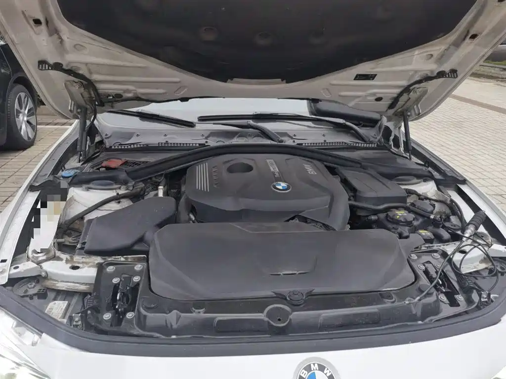 BMW 3 Series 2018 320Li Fashion Style фото 11