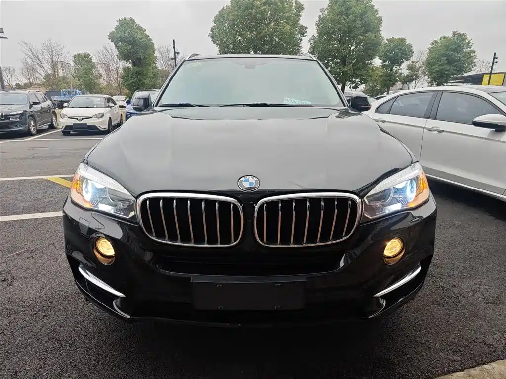 BMW X5 (Import) 2018 xDrive28i фото 3
