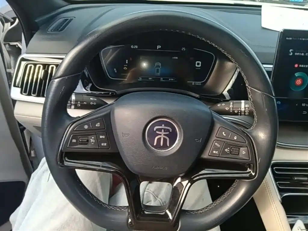 BYD Song PLUS PHEV 2021 DM-i 110KM Flagship фото 11