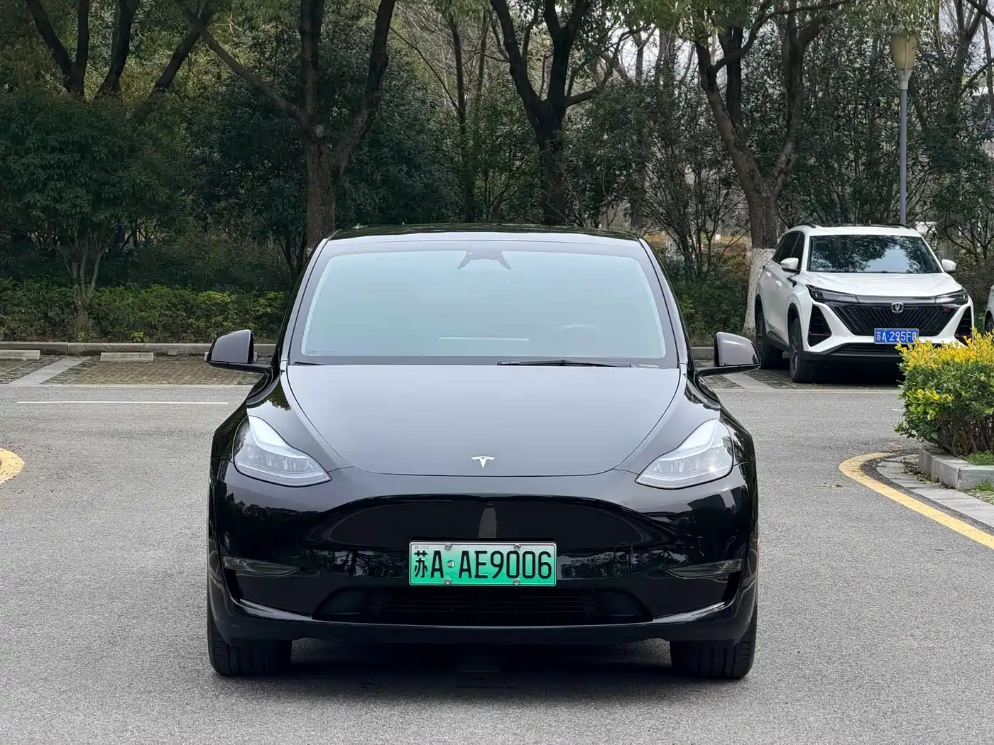 TESLA MODEL Y