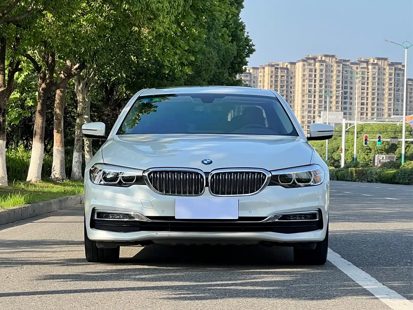 BMW 5 Series 2019 530Li Leading Luxury Package фото 2