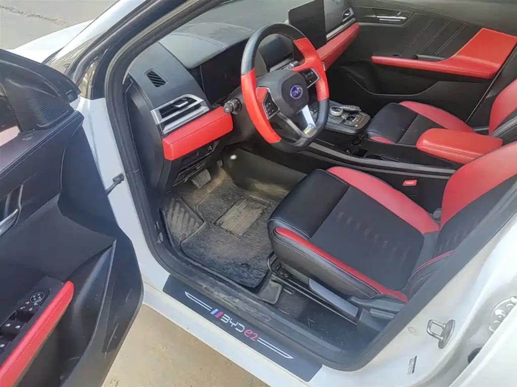 BYD e2 2020 Upgraded Long Range Luxury фото 16