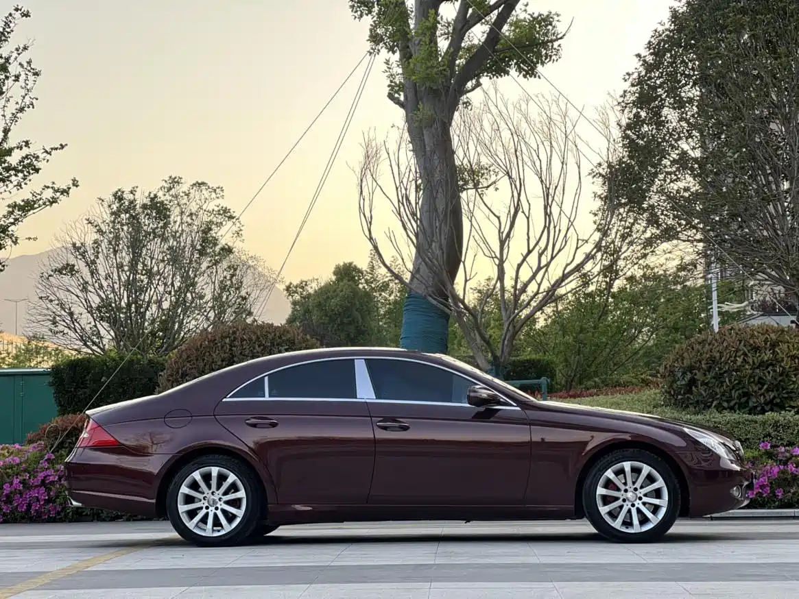 Mercedes-Benz CLS 2009 CLS 300 фото 13