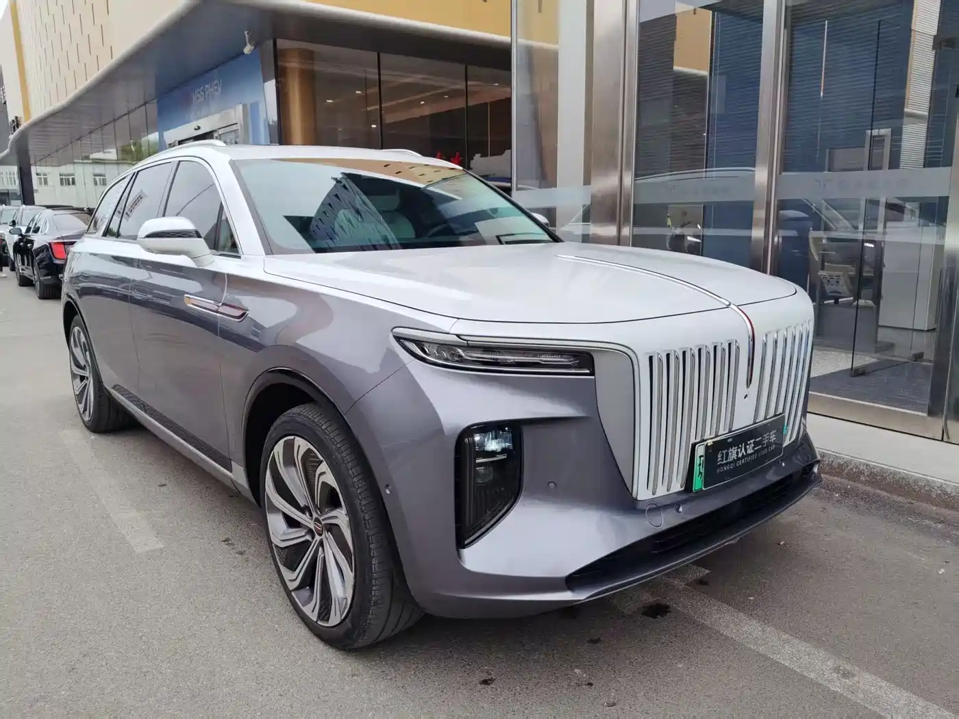Hongqi E-HS9 2022 660km Qi Ling Edition (4-seater) фото 3
