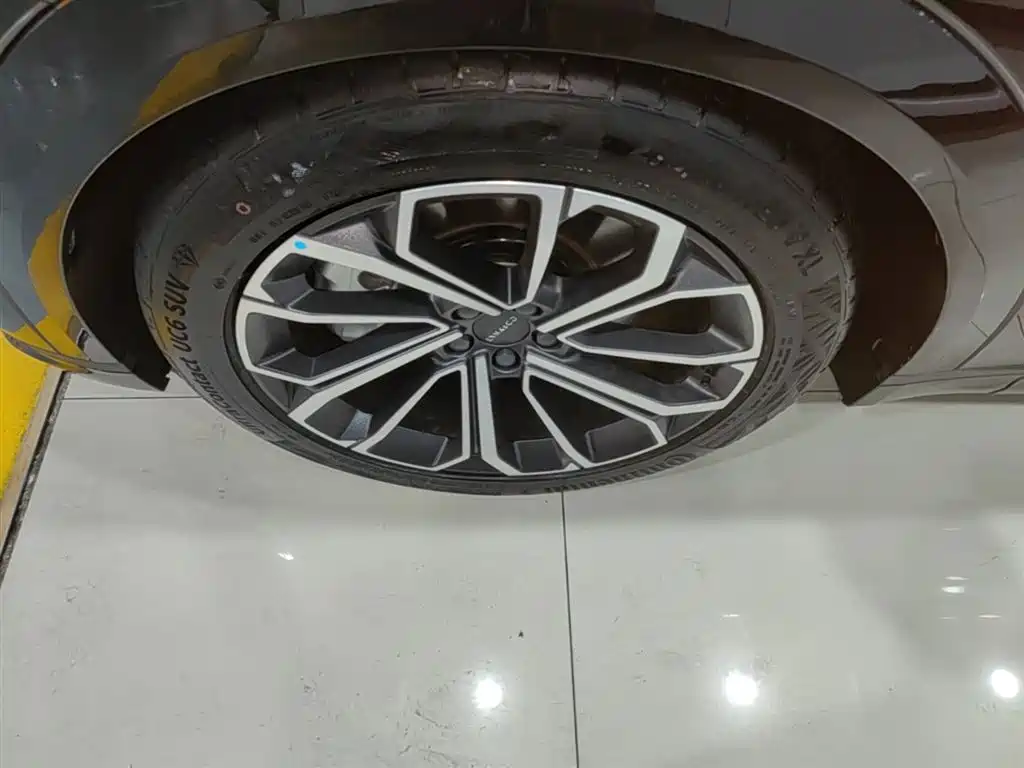 Lynk & Co 09 EM-P 2024 2.0TD EM-P AWD ULTRA 6-Seater фото 23