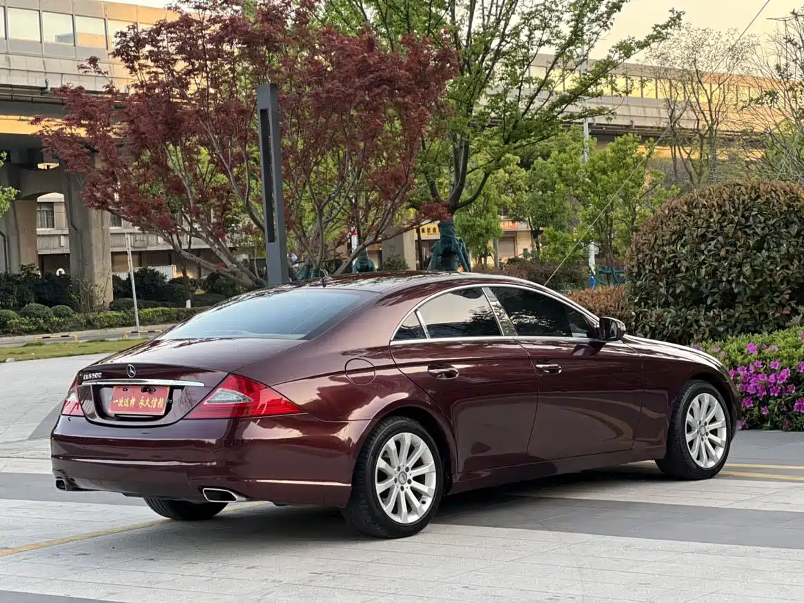 Mercedes-Benz CLS 2009 CLS 300 фото 14