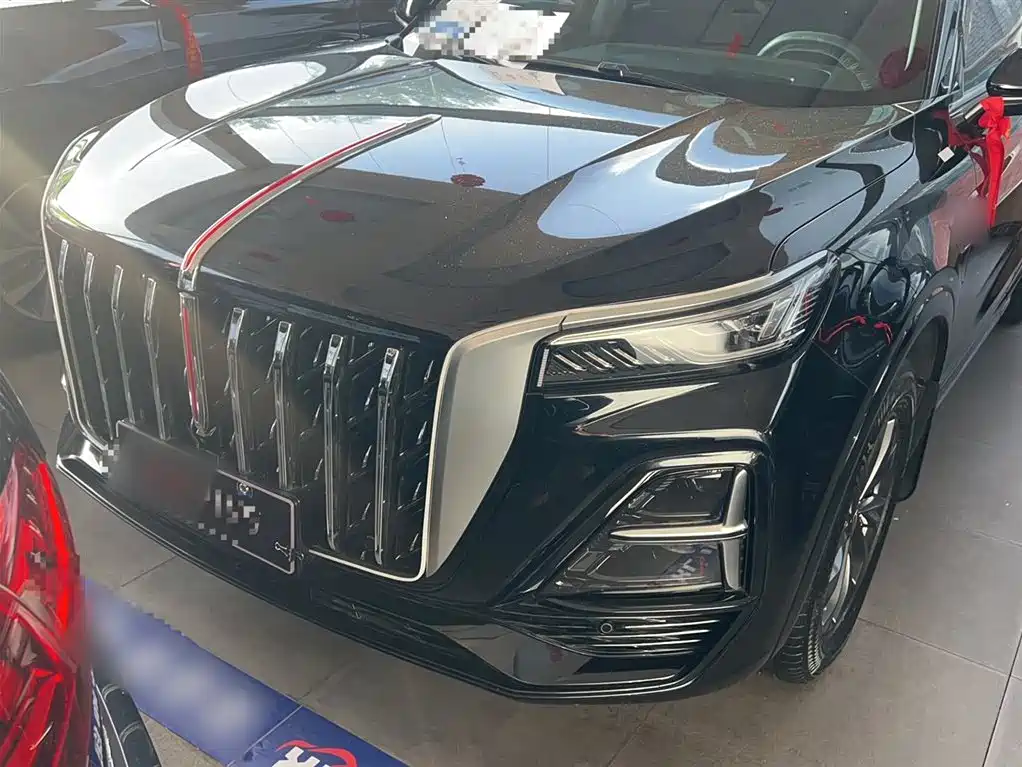 Hongqi HS5 2023 2.0T Flag Enjoy Pro Edition фото 6