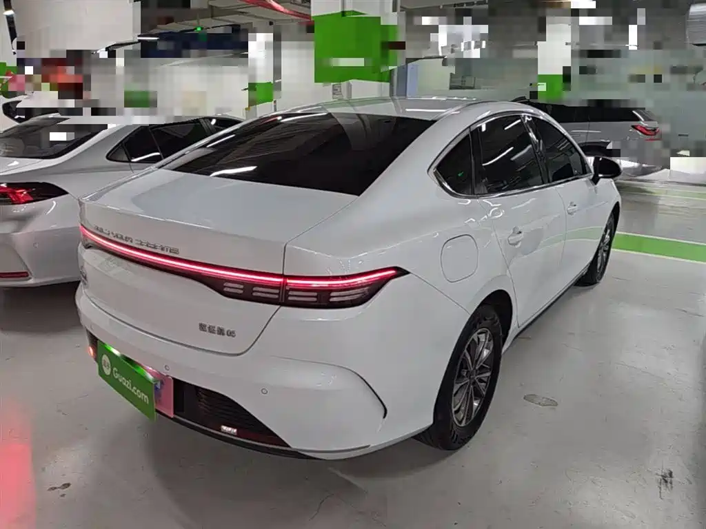 BYD Destroyer 05 2024 Glory Edition DM-i 55KM Luxury фото 7