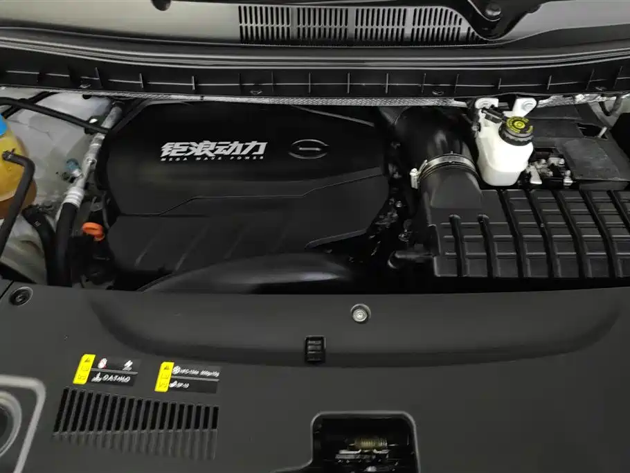 GAC Trumpchi Trumpchi M8 2021 Leading Show Series 390T Premium Edition фото 10