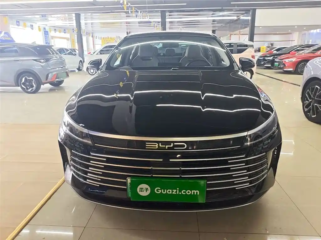 BYD Destroyer 05 2024 Glory Edition DM-i 55KM Luxury фото 3