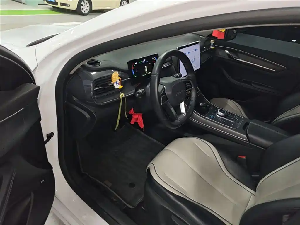 BYD Destroyer 05 2024 Glory Edition DM-i 55KM Luxury фото 16