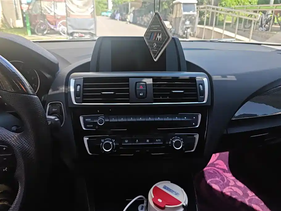 BMW 2 Series (Import) 2017 220i Leading фото 13