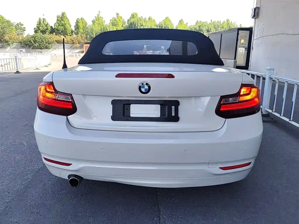 BMW 2 Series (Import) 2015 218i Convertible Coupe фото 6