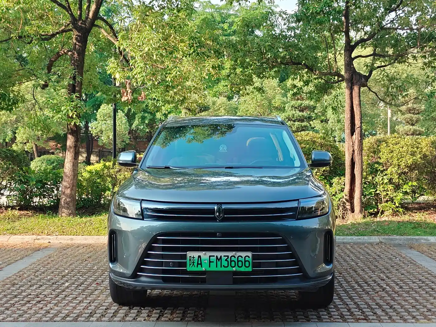 AITO Wenjie AITO M7 2022 1.5T AWD Luxury Edition фото 2