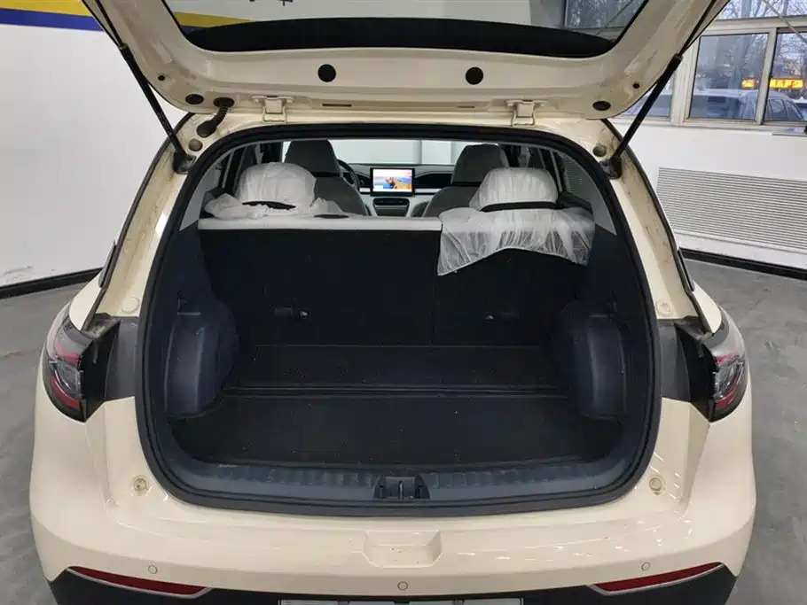 Geely Galaxy Starry Wish 2025 310km Youth Edition фото 4