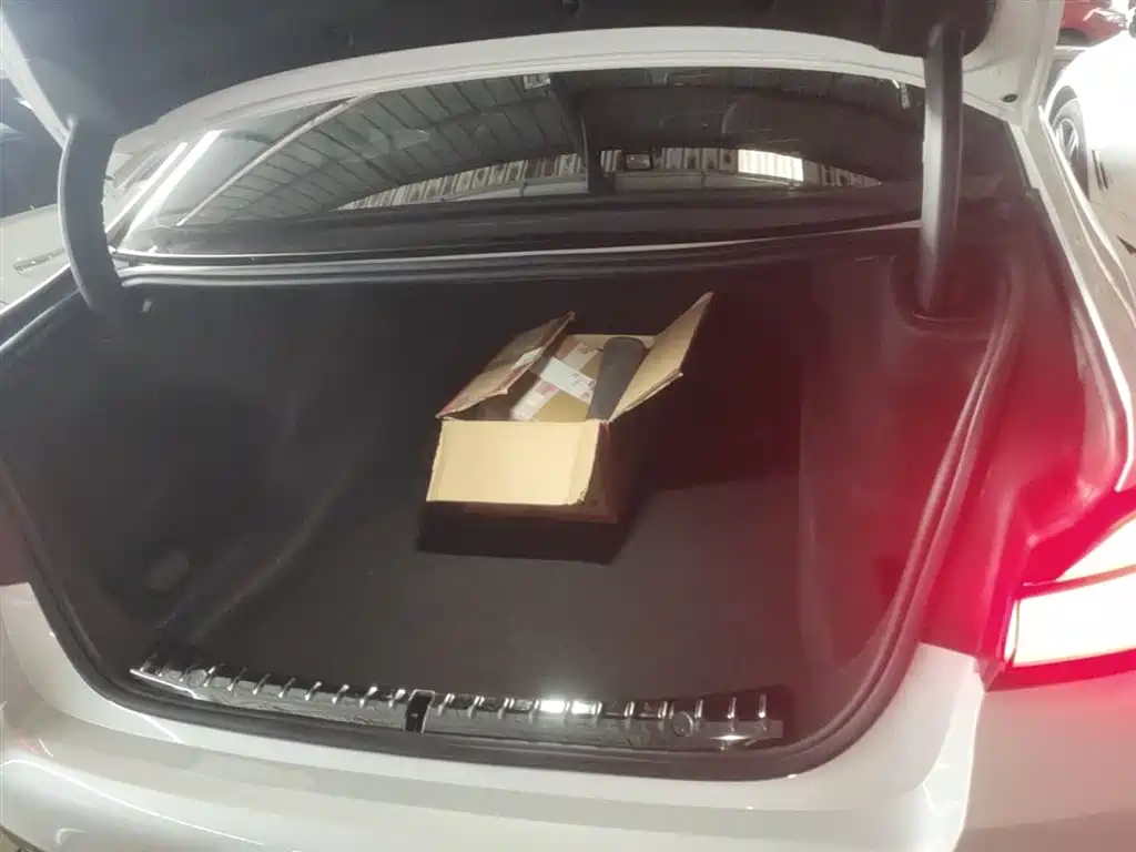 BMW 5 Series 2022 Facelift 530Li Leading M Sport Package фото 19