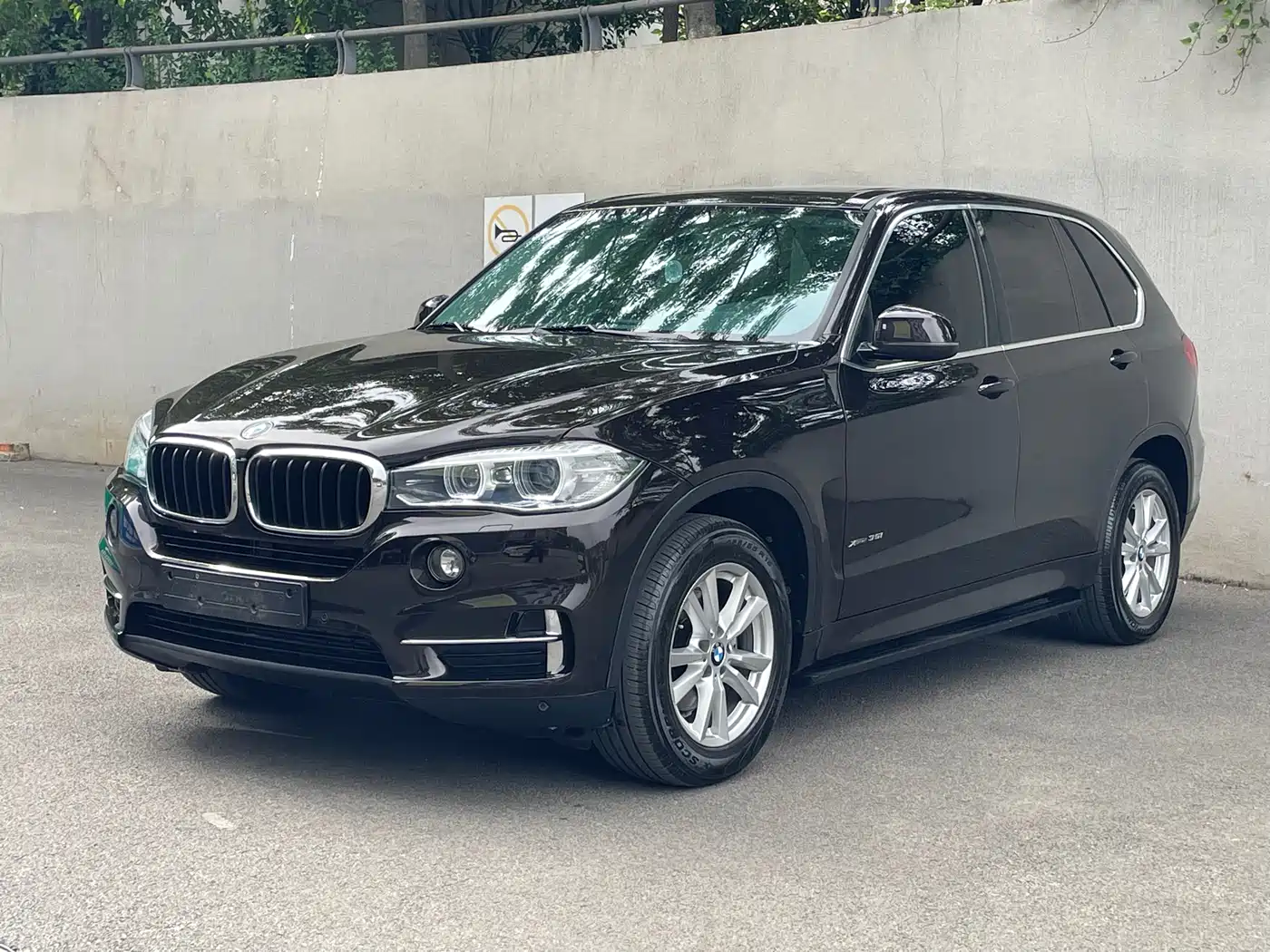 BMW X5 (Import) 2018 xDrive35i Elegant Model