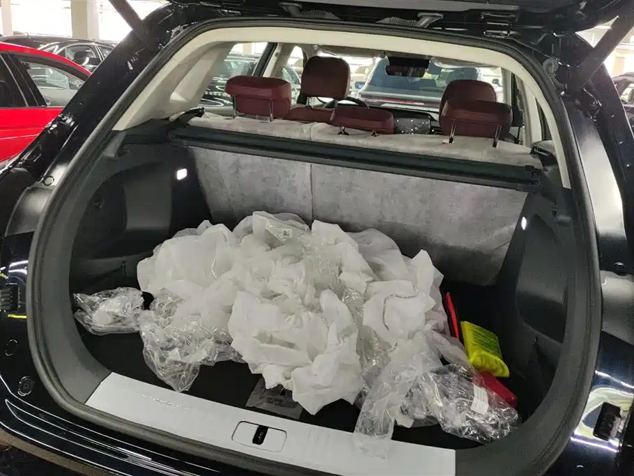 Hongqi HS5 2025 2.0T 2WD Qixiang Pro фото 4