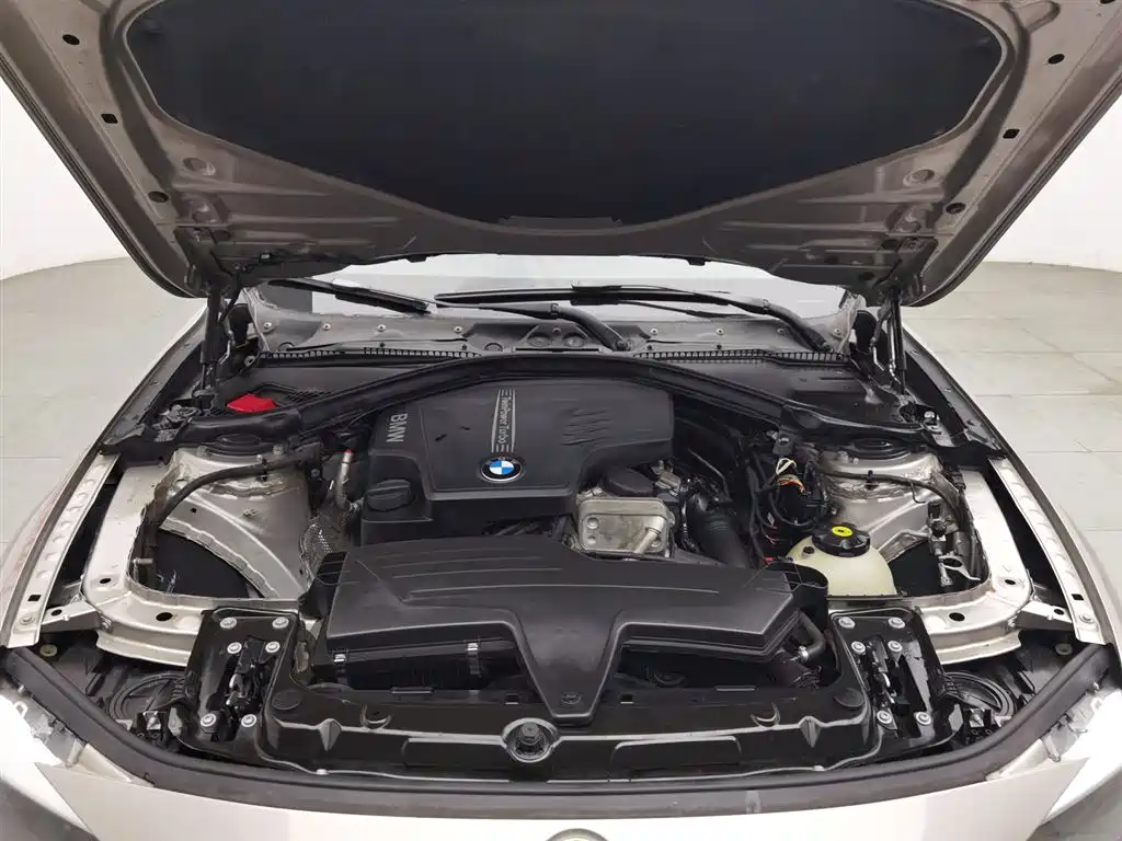 BMW 3 Series 2013 320i Progressive фото 6