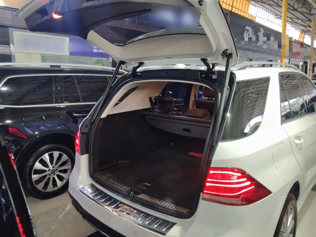 Mercedes-Benz GLE 2017 GLE 320 4MATIC Dynamic фото 19