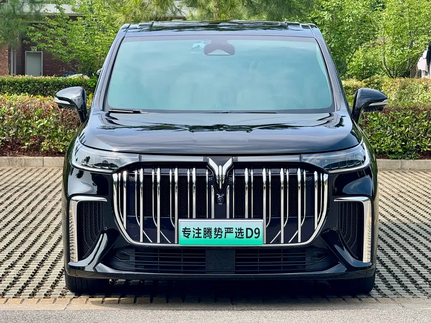Voyah Auto Voyah Dreamer 2024 PHEV Extended Range Premium Edition фото 2