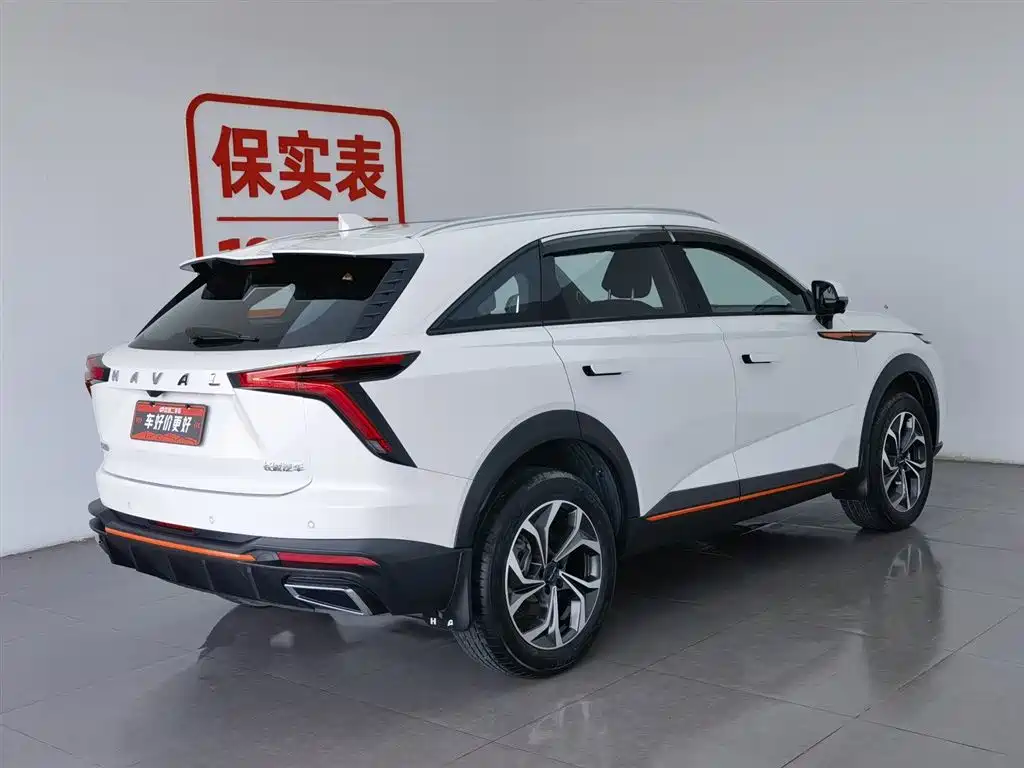 HAVAL DIVINE BEAST