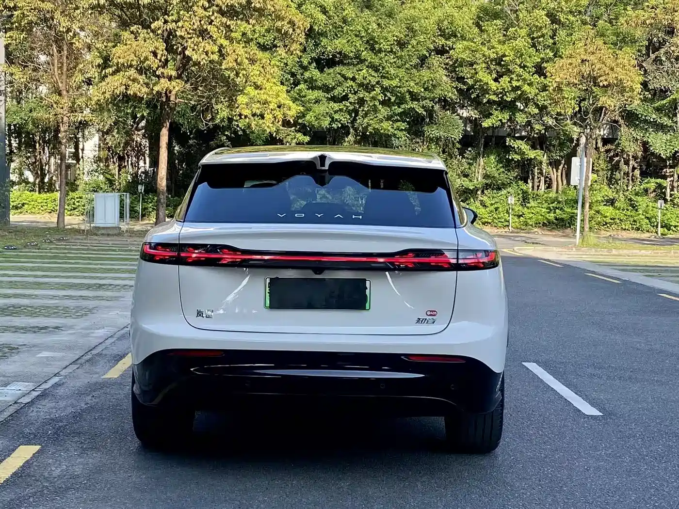 Voyah Auto Voyah Zhiyin 2025 Base фото 13