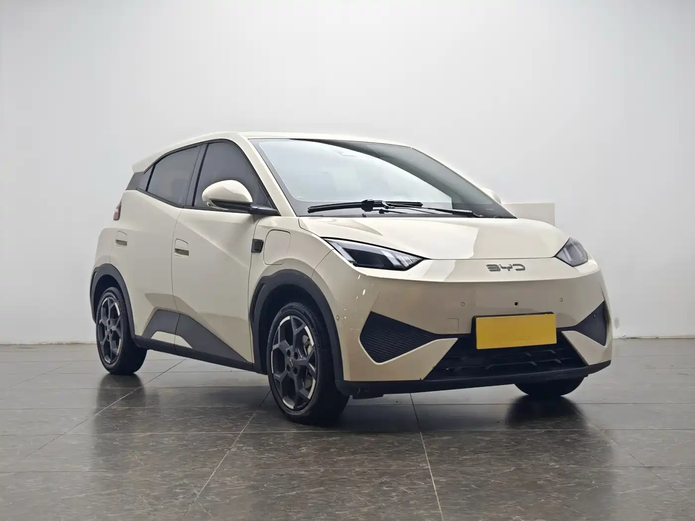 BYD Seagull 2025 Smart Drive Edition 305km Freedom Version фото 2