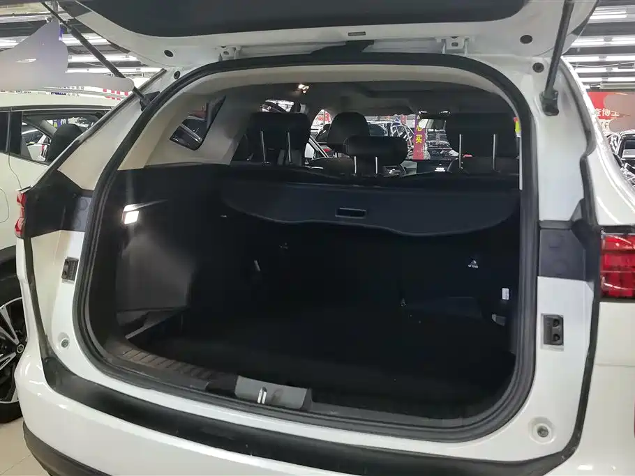 Haval H6 2021 3rd Generation 2.0T Auto 2WD Max фото 4