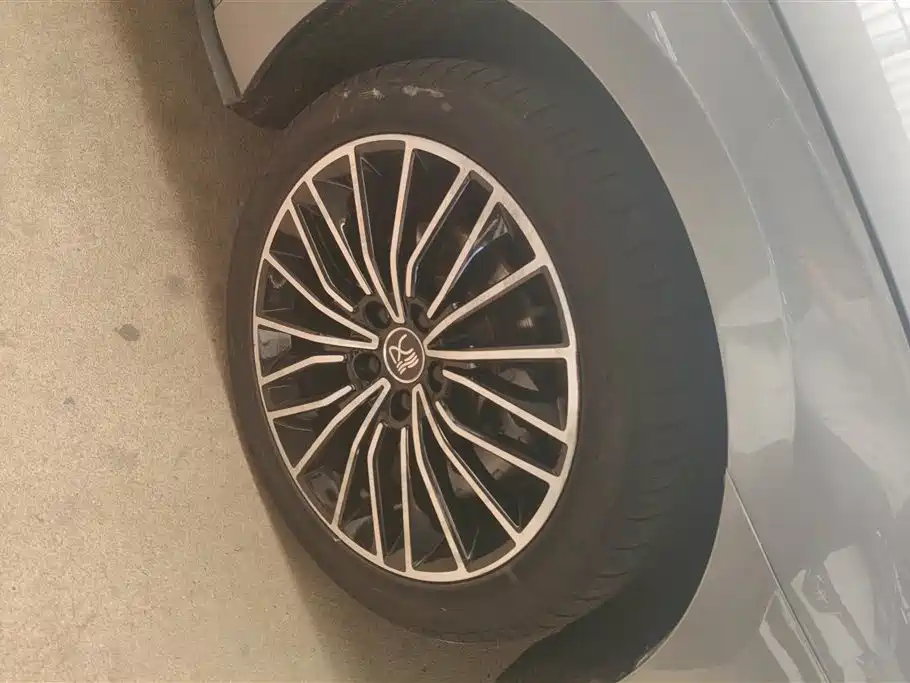 BYD Han 2020 DM AWD Performance Luxury Edition фото 6