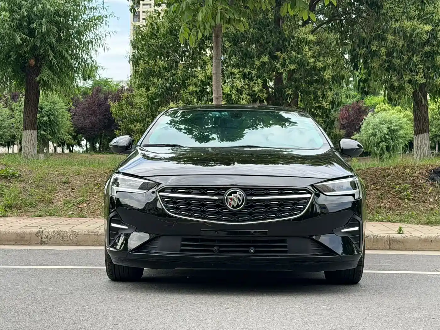 Buick Regal 2021 552T Elite фото 2