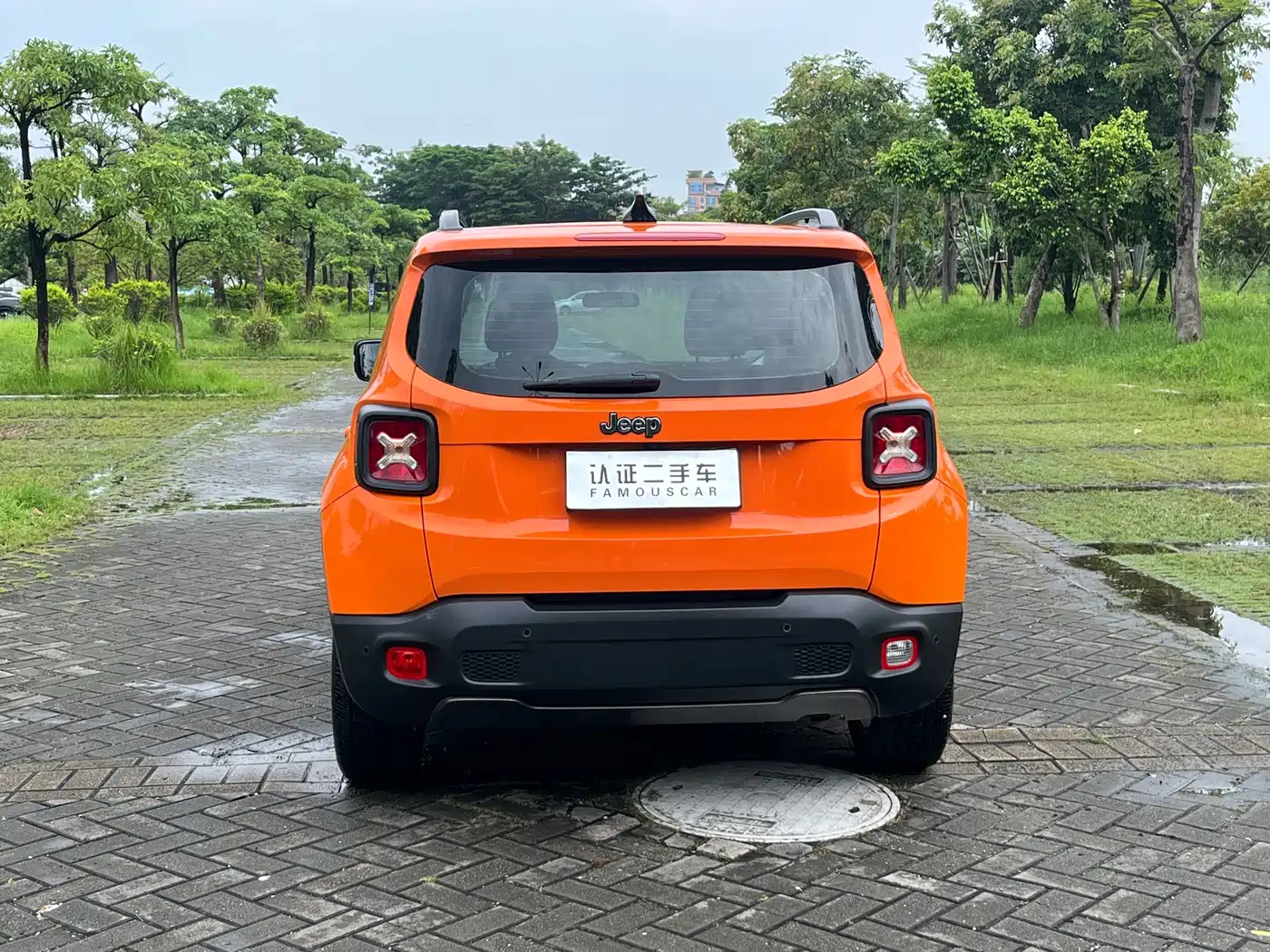 Jeep Renegade 2019 2019 220T Automatic Elite