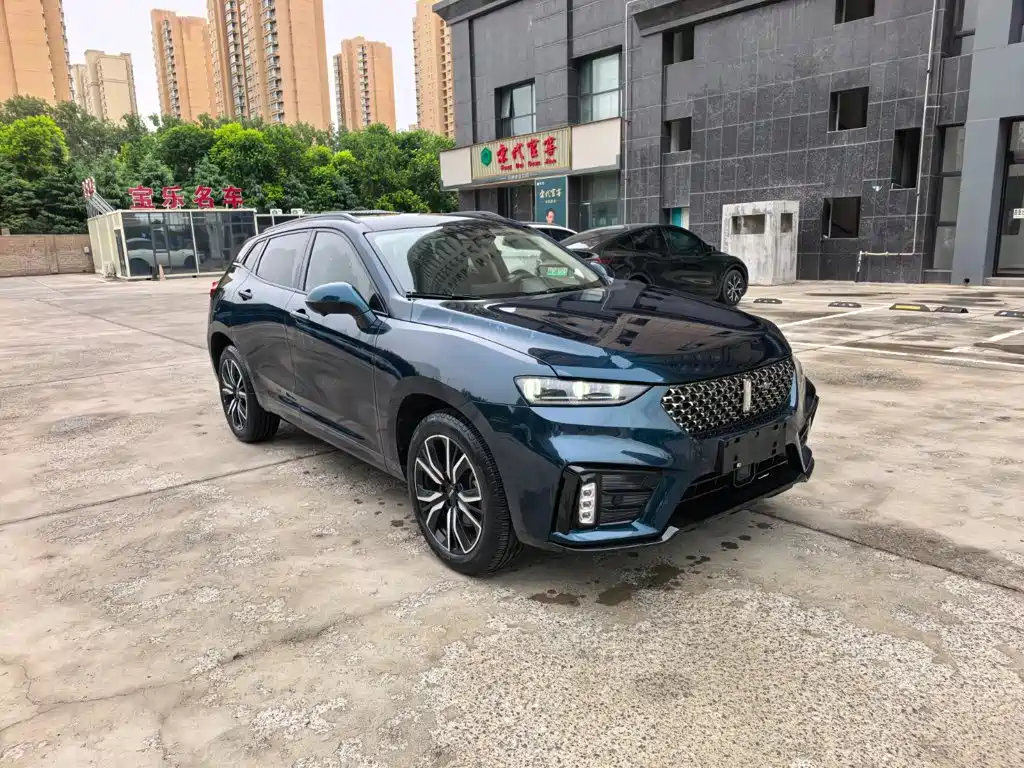 WEY VV7 2020 2020 Model 2.0T Flagship