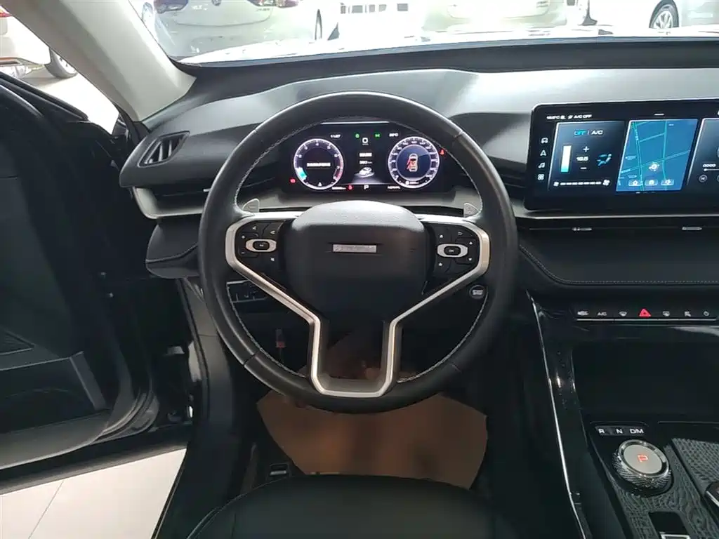 Haval H6 2021 3rd Gen 1.5T Auto 2WD Pro фото 11