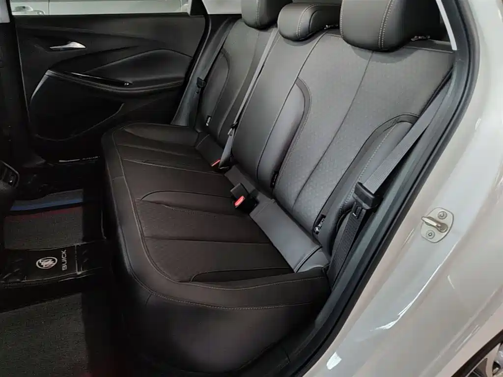 BUICK WEILANG