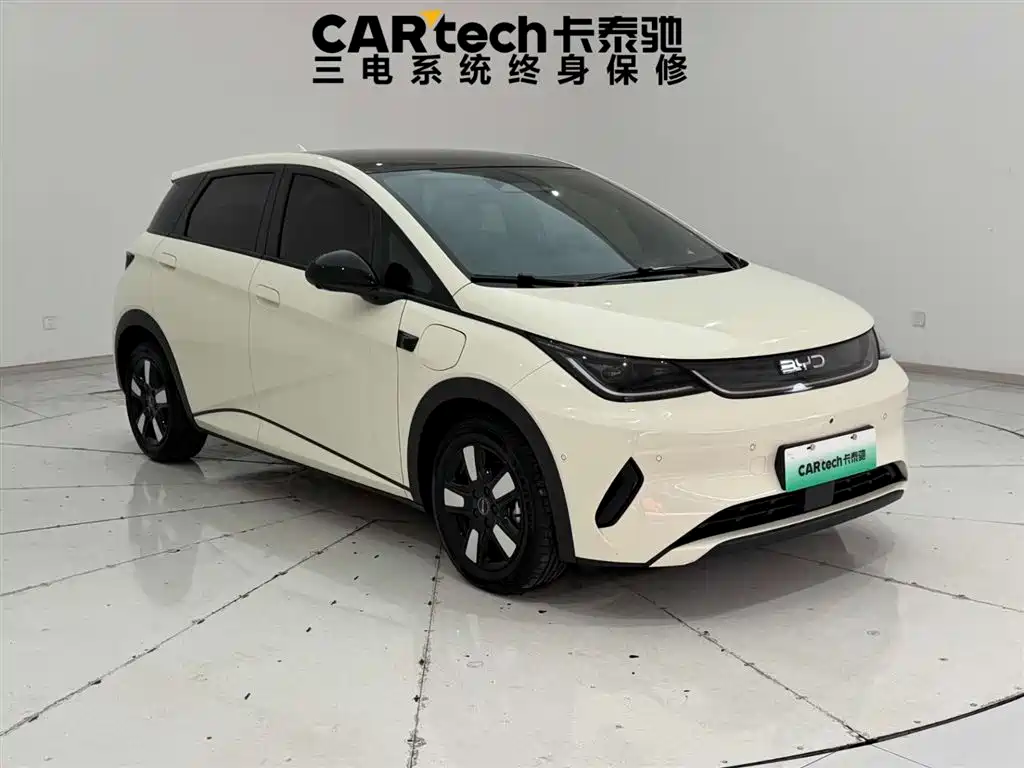 BYD Dolphin 2025 Smart Drive Edition 410km Fashion Version фото 4