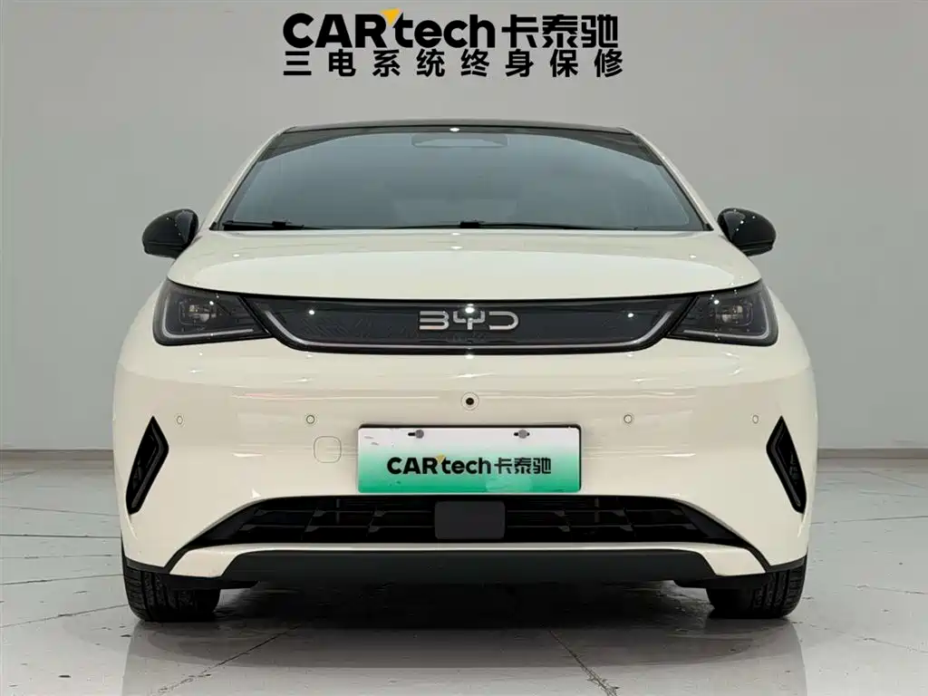 BYD Dolphin 2025 Smart Drive Edition 410km Fashion Version фото 3