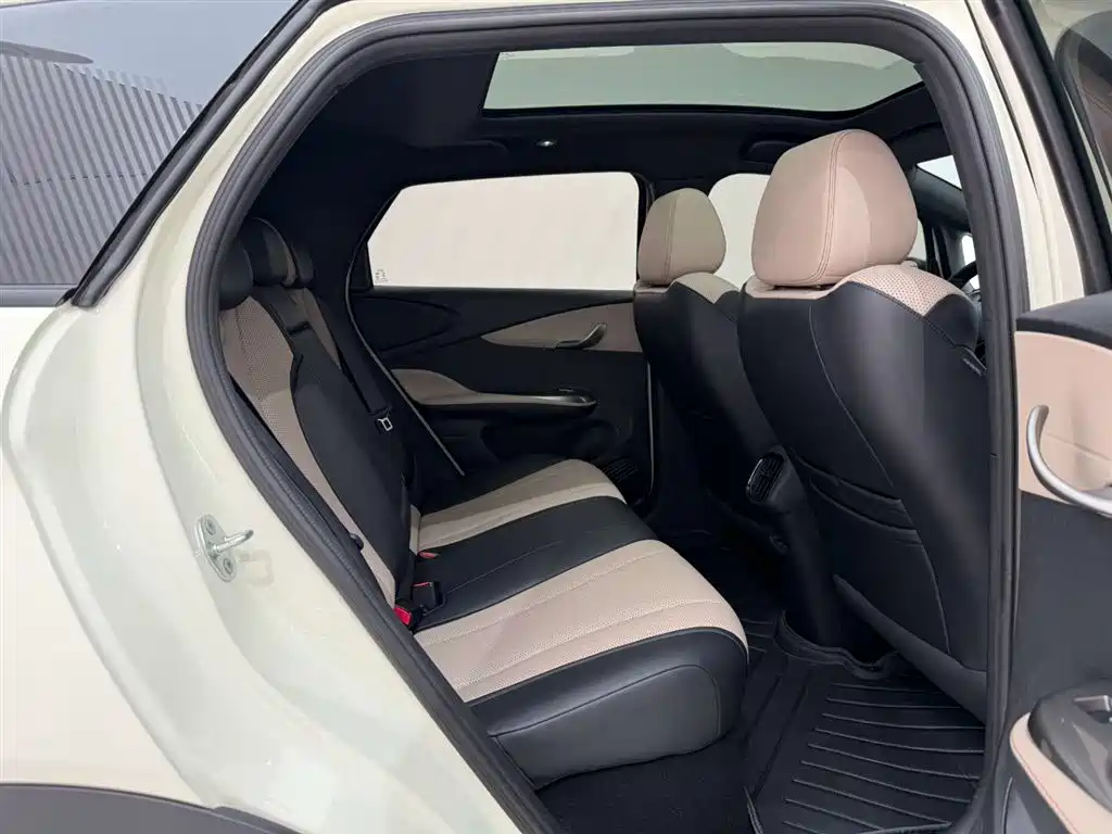 BYD Dolphin 2025 Smart Drive Edition 410km Fashion Version фото 20