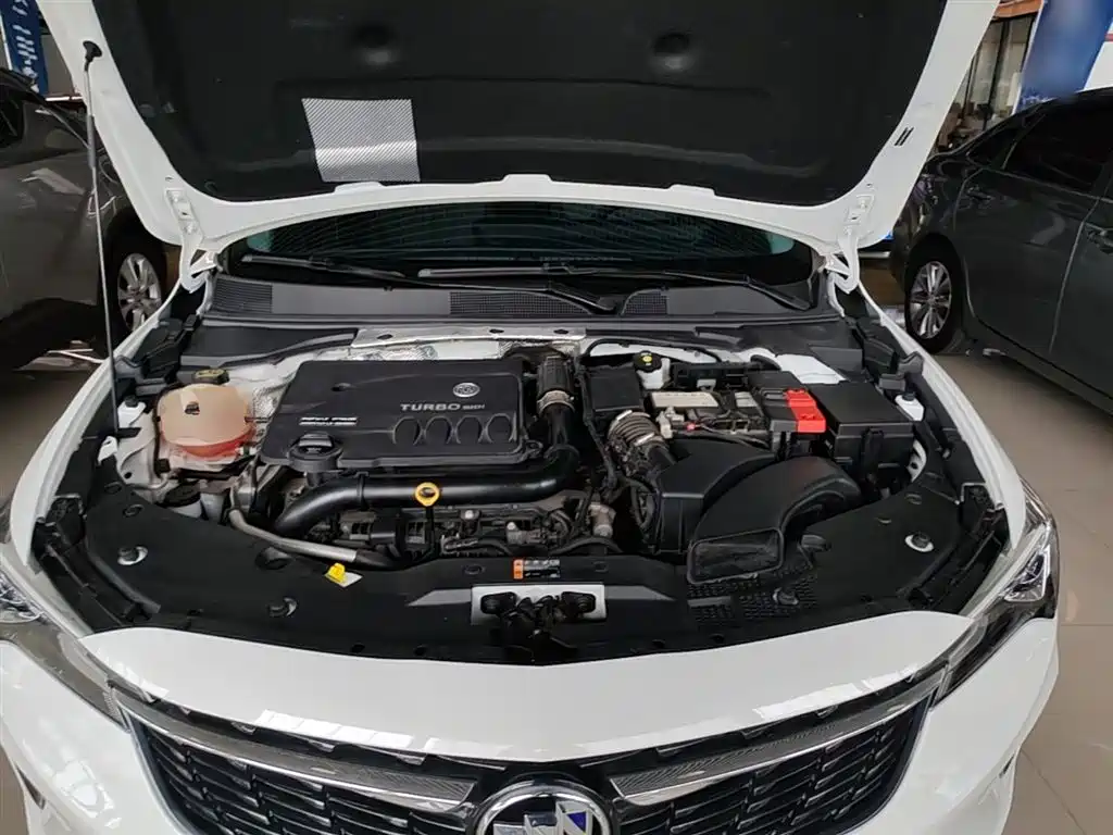 BUICK WEILANG