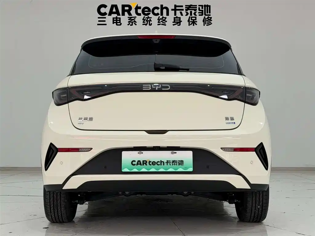 BYD Dolphin 2025 Smart Drive Edition 410km Fashion Version фото 9