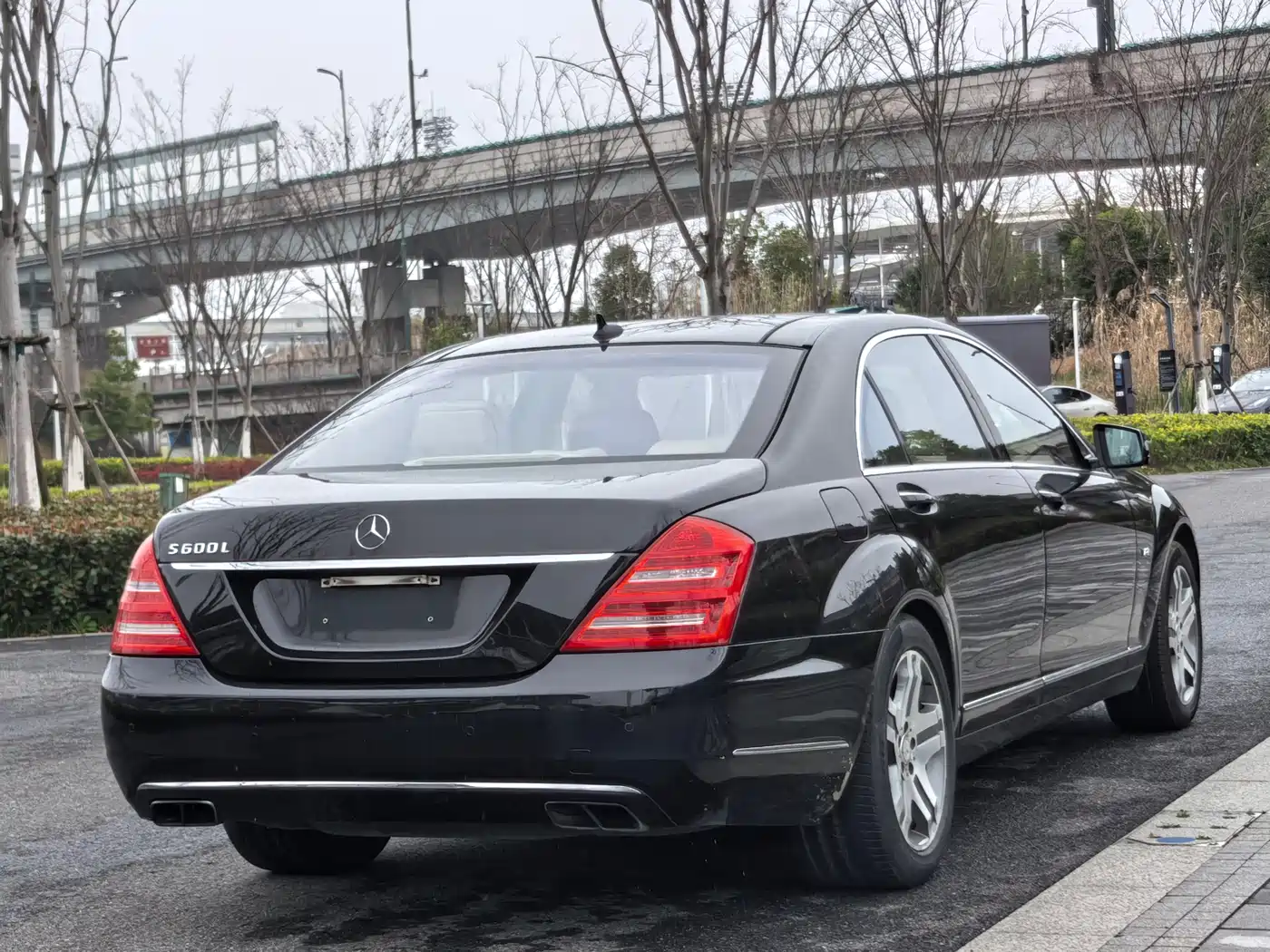 Mercedes-Benz S-Class 2010 S 600 L фото 6