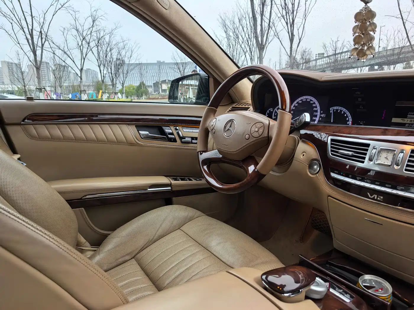 Mercedes-Benz S-Class 2010 S 600 L фото 12